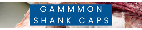 Gammon